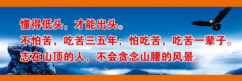 NG体育:德国卡德尔壁挂炉官网(德国卡德尔壁挂炉)